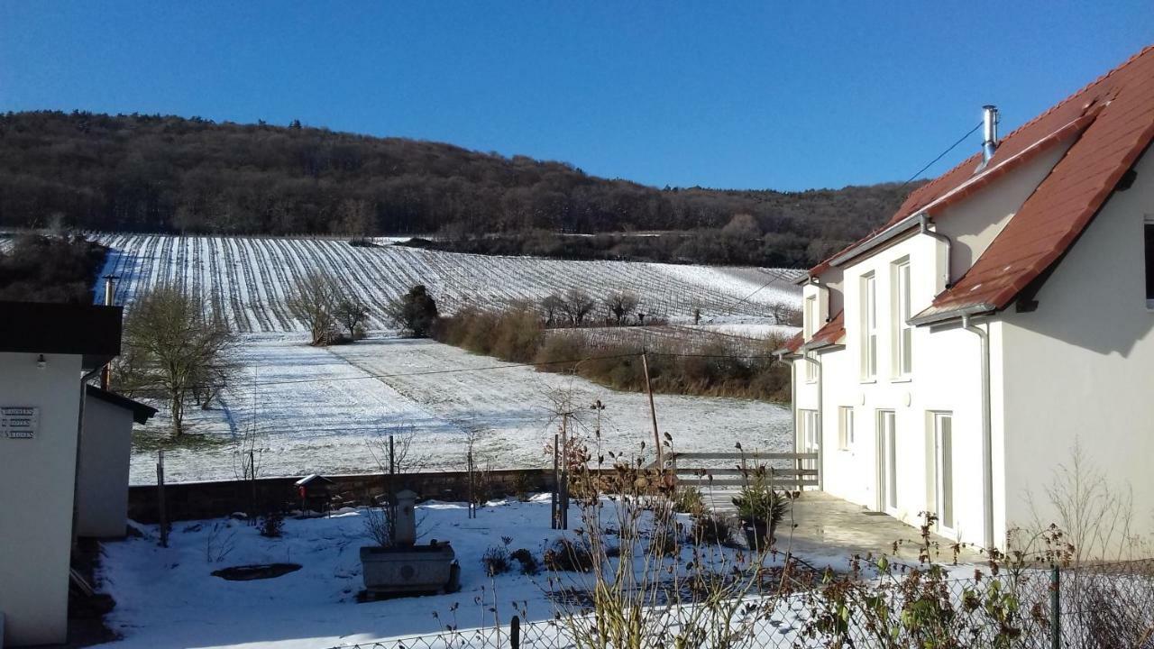 Aux Vignes Bed & Breakfast Wissembourg Exterior photo